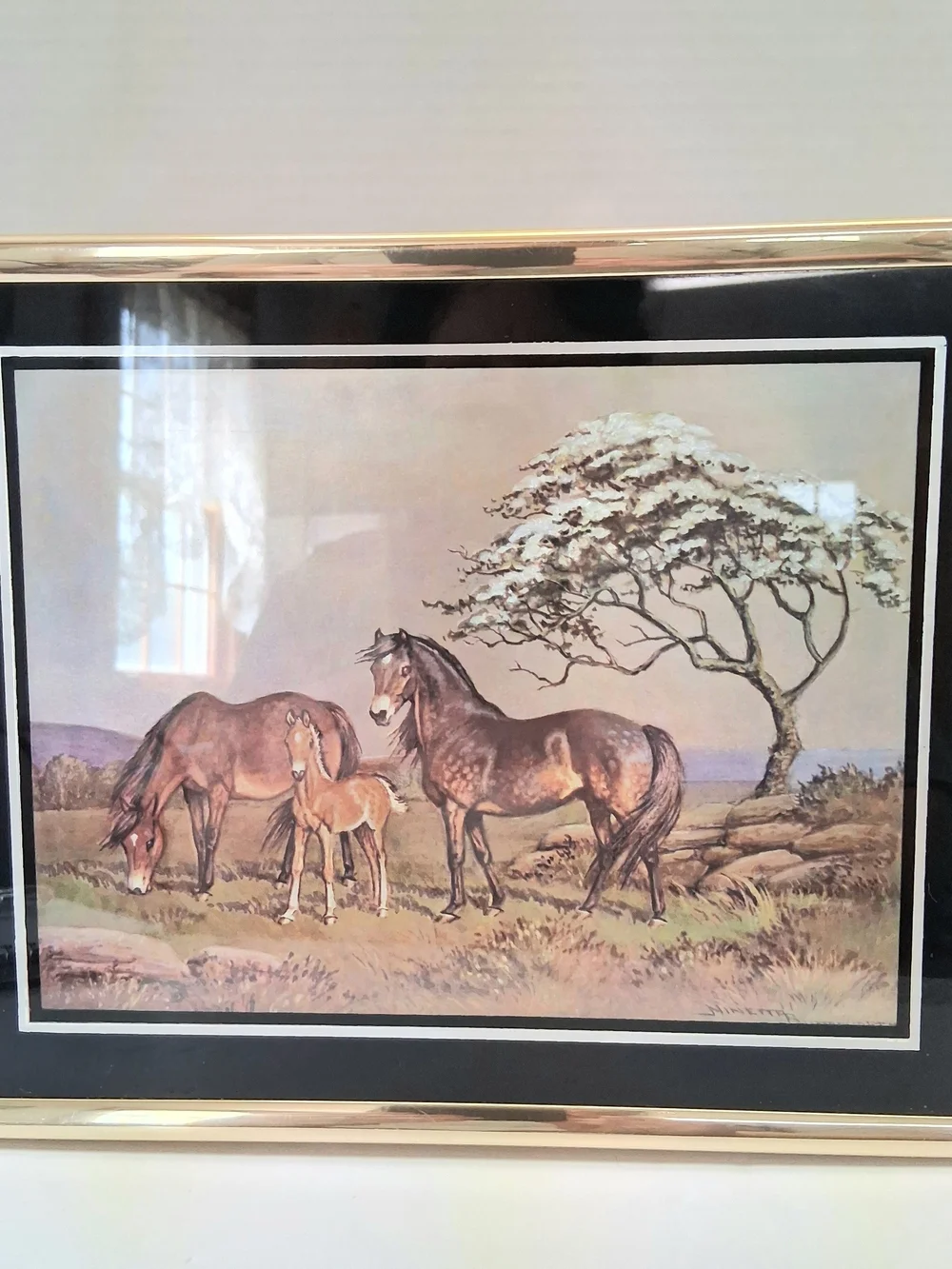 Vintage Ninetta Butterworth Horse Foal Metallic Textured Print Framed Equestrian